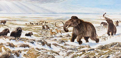 Beringia Winter Scene by George Teichmann.