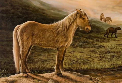 Yukon Horse