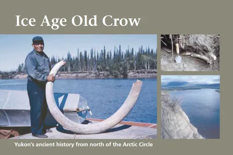 Ice Age Old Crow