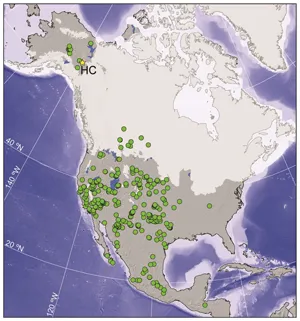 distribution of camelops