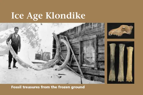 Ice age klondike