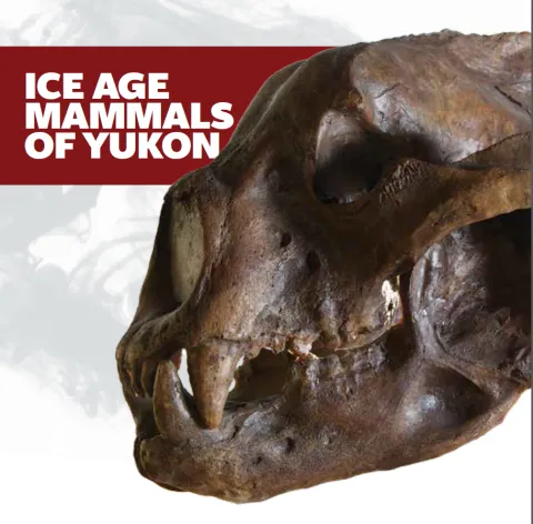 Ice age mammals