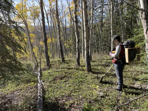 working in the field