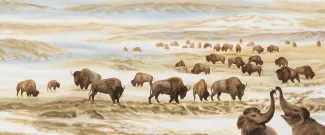 Beringia-Winter-Scene-bison-detail