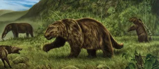 Ground Sloth banner