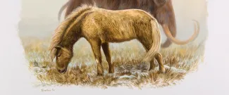 Yukon Horse banner