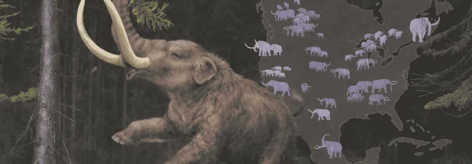 mastodon illustration